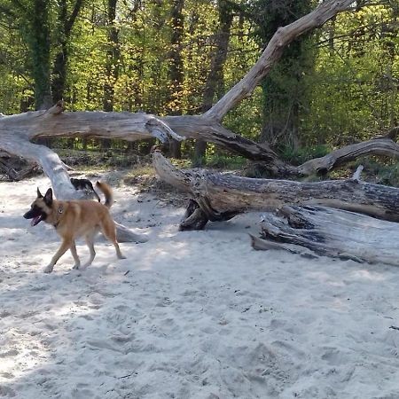 Ferienhaus Am Wald Loissin Zewnętrze zdjęcie