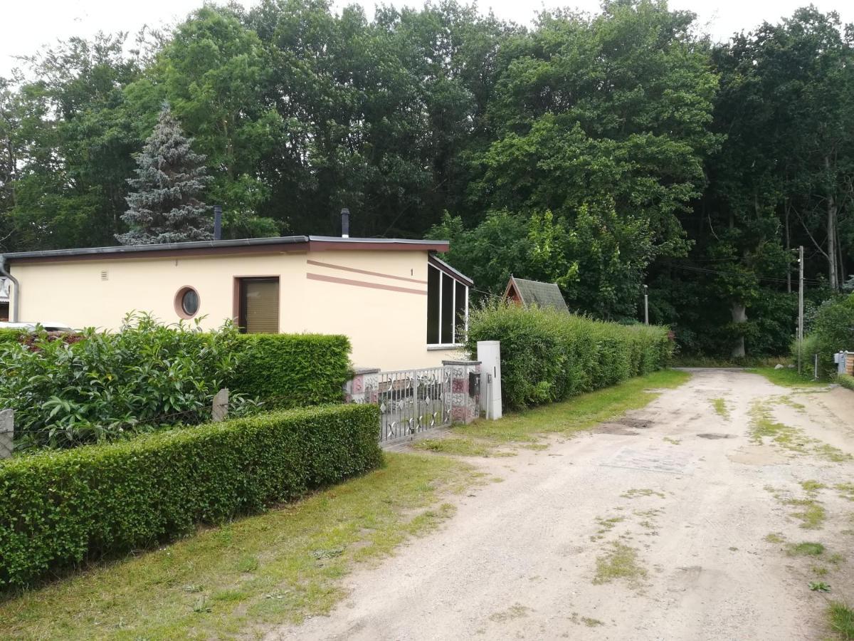 Ferienhaus Am Wald Loissin Zewnętrze zdjęcie